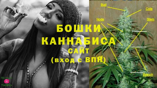 наркотики Бородино