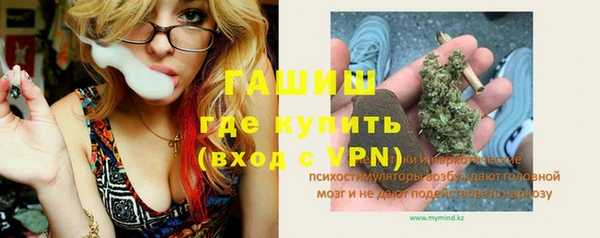 шишки Верея